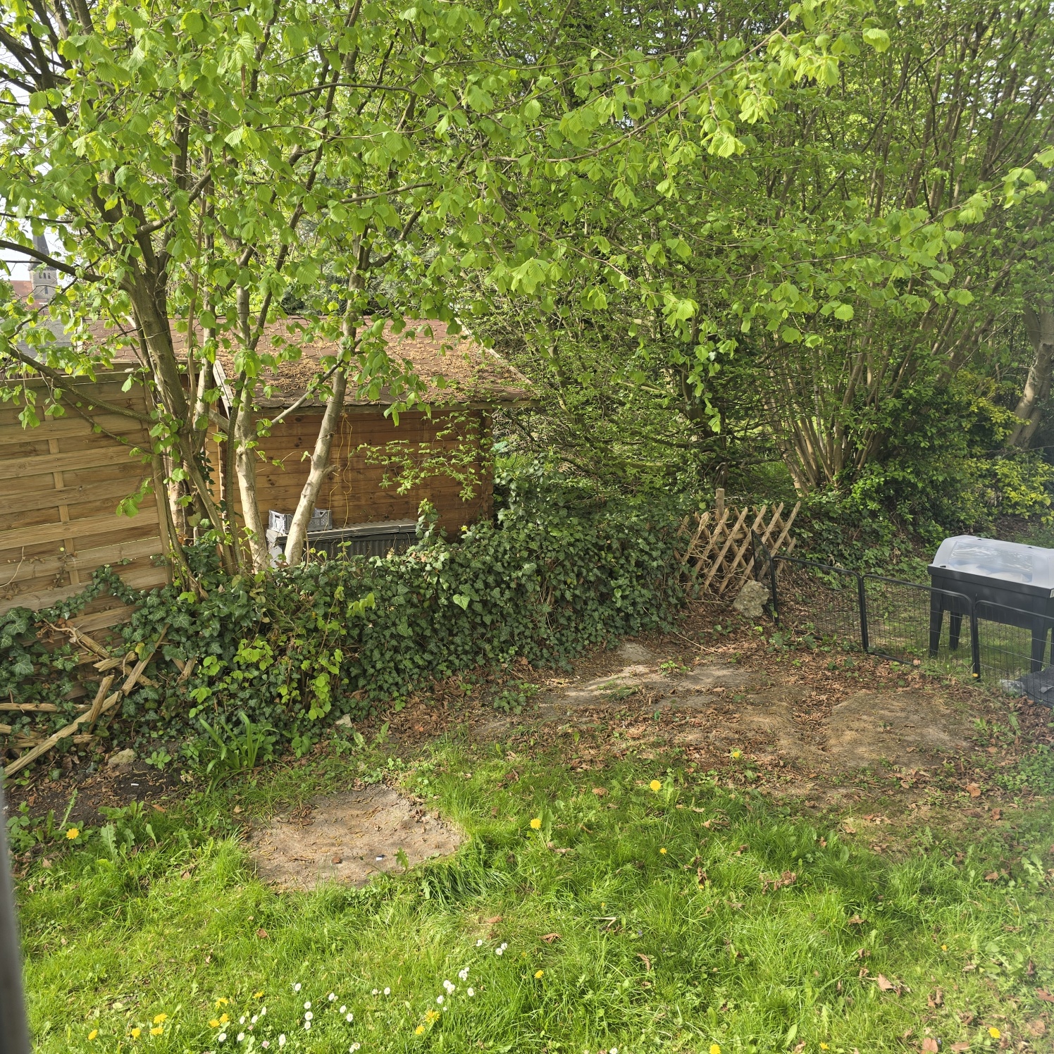 31553 Sachsenhagen – 3-Zimmer Erdgeschosswohnung mit Garten & 2 Stellplätzen